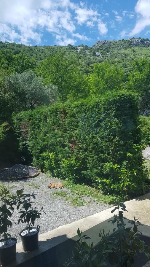 Rooms Lake View Balani Restaurant Shkodër Екстериор снимка